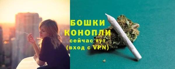 стафф Каменка