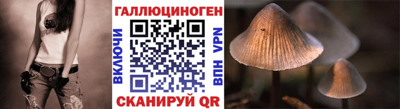 дарк нет какой сайт Амурск Псилоцибиновые грибы Magic Shrooms